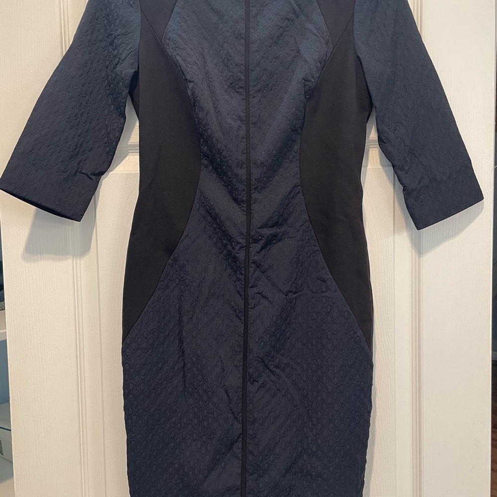 Classiques Entier Black and Navy Sheath Dress